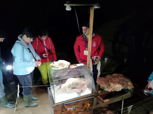 IMG 20200703 132637 mala