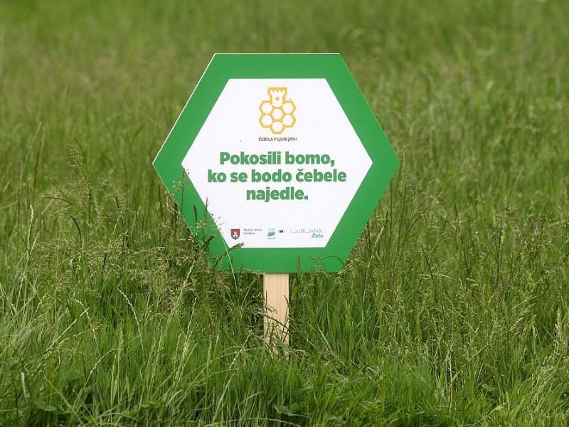 pokosili