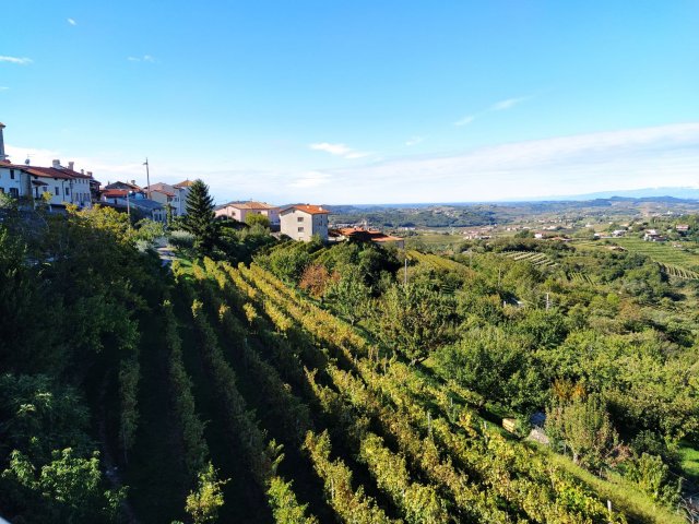 goriska_brda3