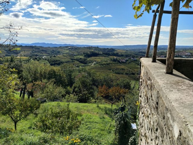 goriska_brda4