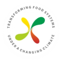 Globalna delavnica: Novo obdobje za hrano in podnebje – uveljavitev ukrepov za prilagajanje, 25.6.2020