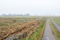 Informacija za upravičence iz naslova ne-IAKS ukrepov PRP 2014-2020