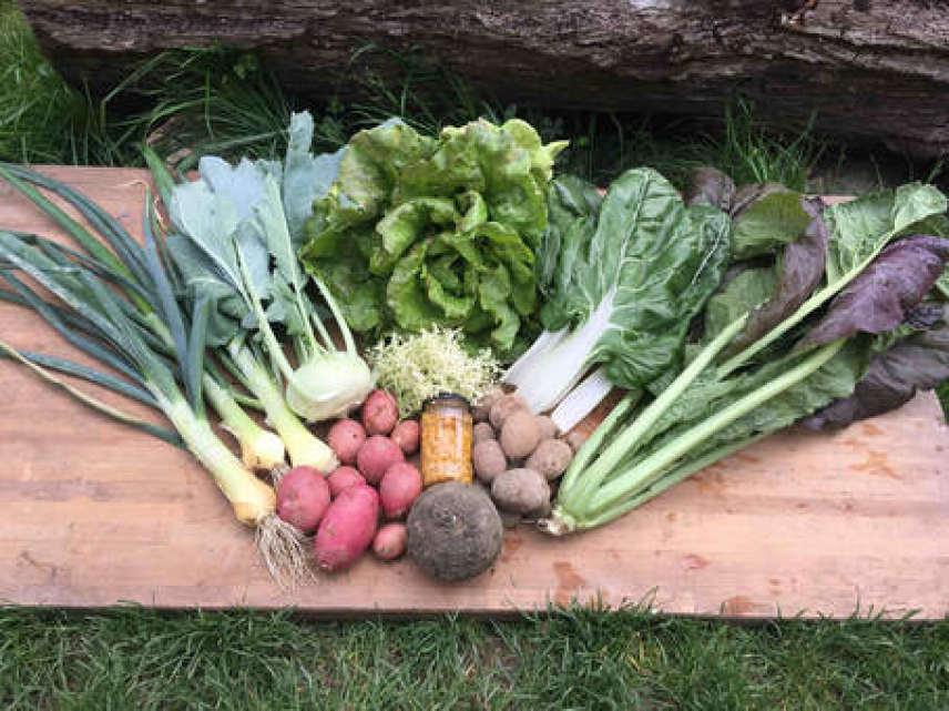 Kmetija Zlate misli - oskrba s hrano z nizkimi izpusti toplogrednih plinov