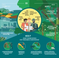 Publikacija in infografika »Storitve opraševanja gozdov«