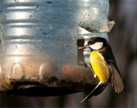 Ali ste vedeli: Krožno gospodarstvo na primeru PET plastenke