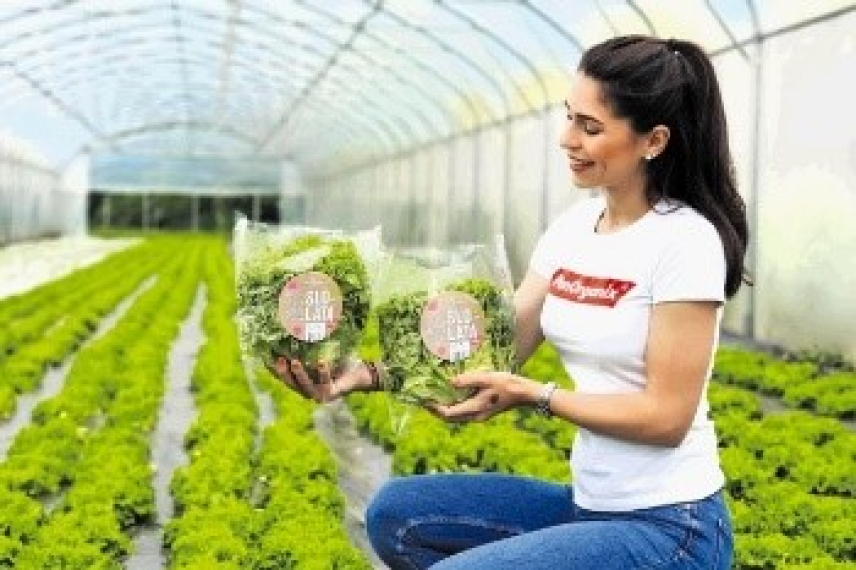 Panorganix – napredne metode vertikalnega kmetovanja