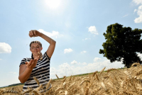 Mednarodni dan žensk na podeželju