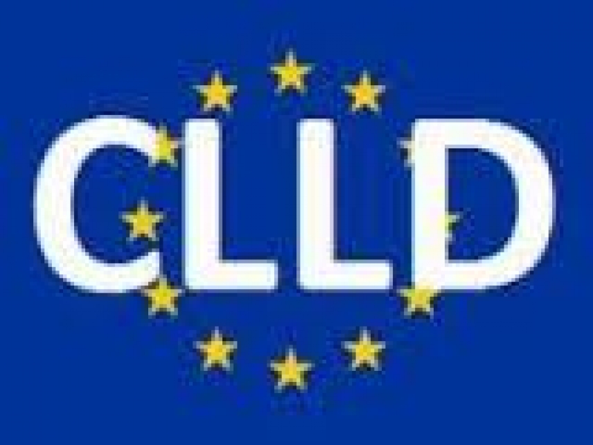 Mednarodni seminar na temo CLLD na Švedskem