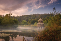 Fotografski natečaj: 50 let gozdnih učnih in tematskih poti v Sloveniji