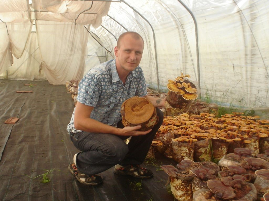 Pripravki iz gob za zmanjševanje stranskih učinkov kemoterapij, pri multipli sklerozi …