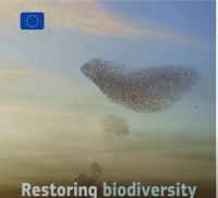 EU Zeleni teden 2020