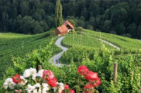 Posvet in srečanje članov DRSP - SRCE ŠTAJERSKE 2026