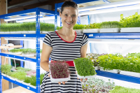 Inovativne ženske na podeželju: Saša Kržič – z mikro zelenjem piše svojo zgodbo