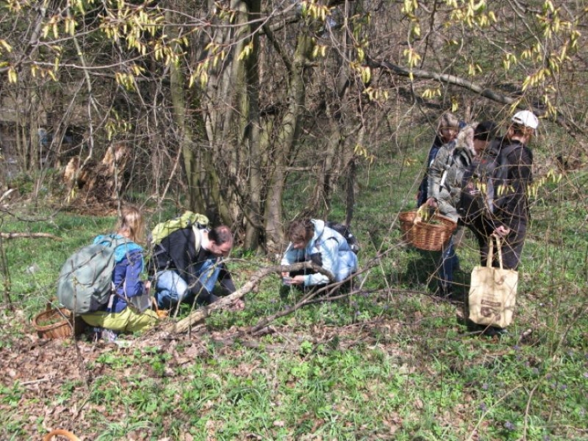 Projekt Fitokmetije za razvoj učnih kmetij